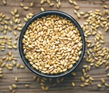 wheat-grains-bowl-wheat-popcorn-bowl-wheat-seed-rustic